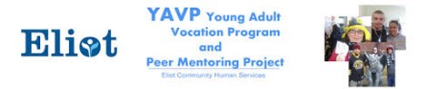 The Young Adult Vocational Program